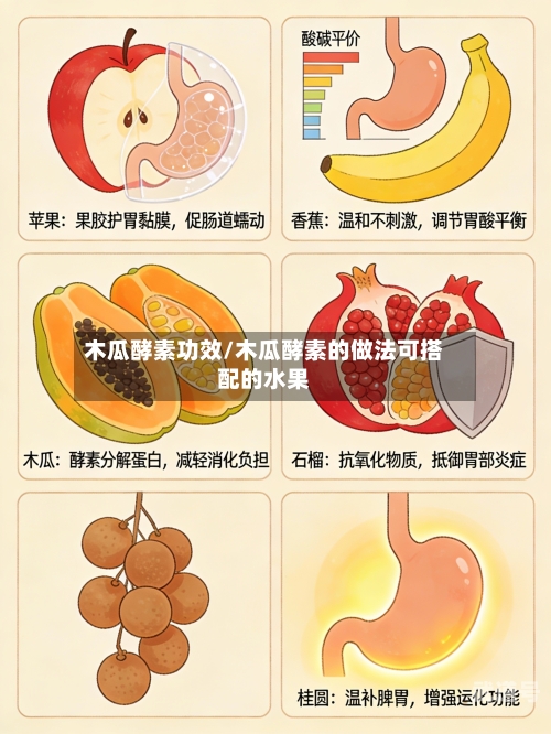 木瓜酵素功效/木瓜酵素的做法可搭配的水果