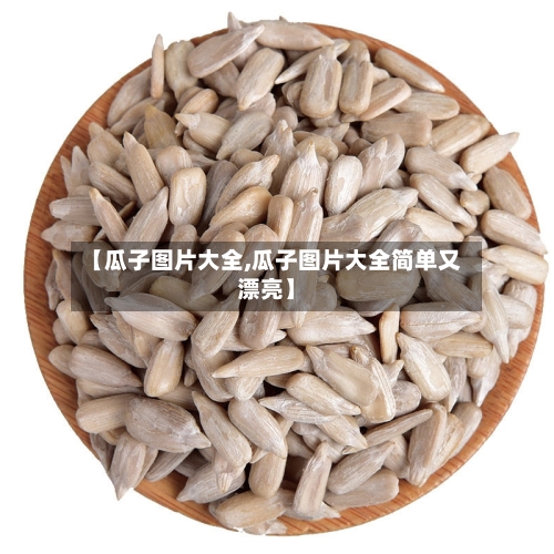 【瓜子图片大全,瓜子图片大全简单又漂亮】