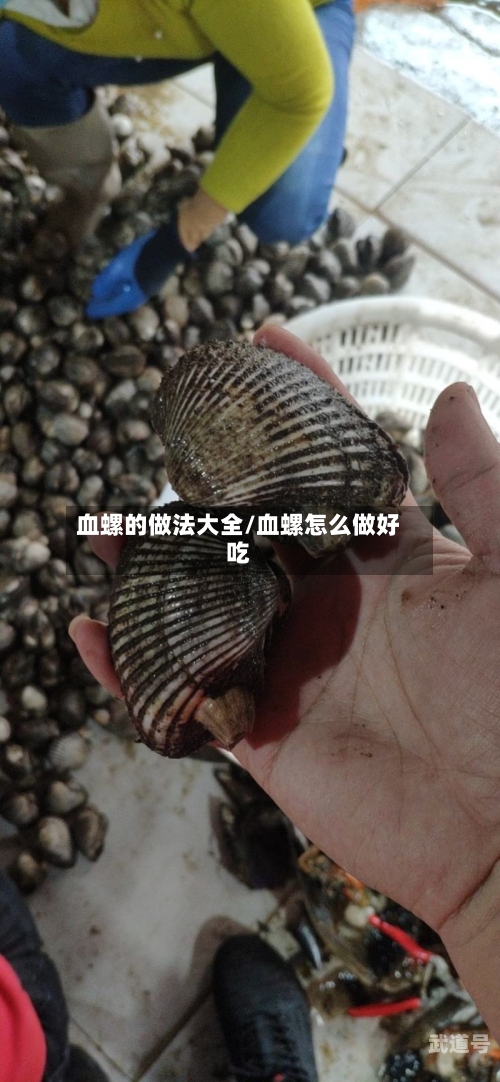 血螺的做法大全/血螺怎么做好吃