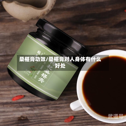 桑椹膏功效/桑椹膏对人身体有什么好处-第3张图片