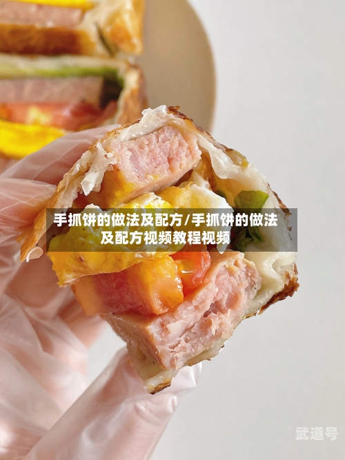 手抓饼的做法及配方/手抓饼的做法及配方视频教程视频