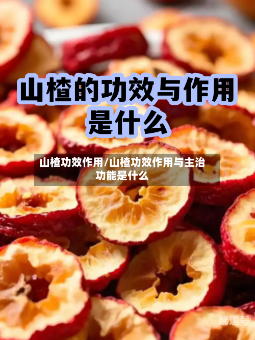 山楂功效作用/山楂功效作用与主治功能是什么