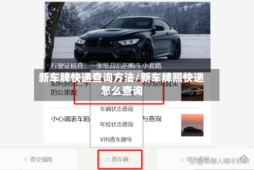 新车牌快递查询方法/新车牌照快递怎么查询-第3张图片