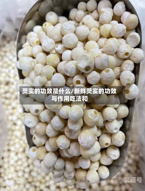 芡实的功效是什么/新鲜芡实的功效与作用吃法和