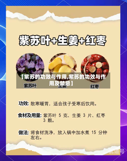 【紫苏的功效与作用,紫苏的功效与作用及禁忌】