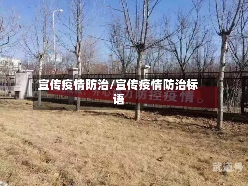 宣传疫情防治/宣传疫情防治标语