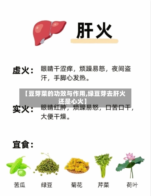 【豆芽菜的功效与作用,绿豆芽去肝火还是心火】