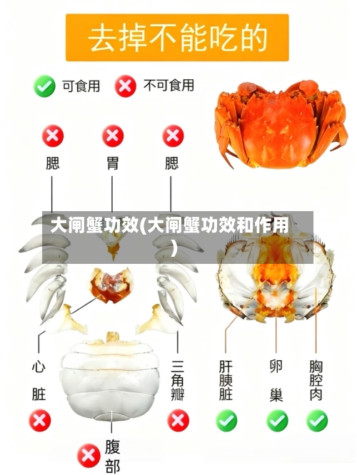 大闸蟹功效(大闸蟹功效和作用)