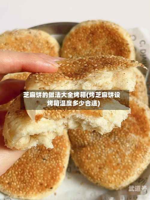 芝麻饼的做法大全烤箱(烤芝麻饼设烤箱温度多少合适)