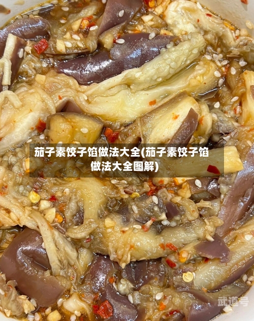 茄子素饺子馅做法大全(茄子素饺子馅做法大全图解)