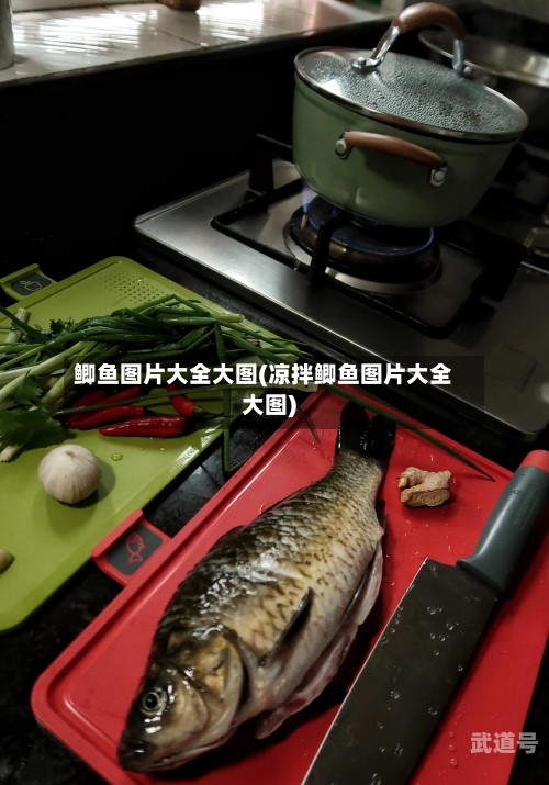 鲫鱼图片大全大图(凉拌鲫鱼图片大全大图)