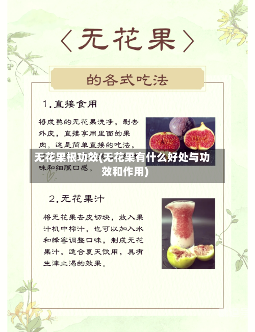 无花果根功效(无花果有什么好处与功效和作用)-第3张图片