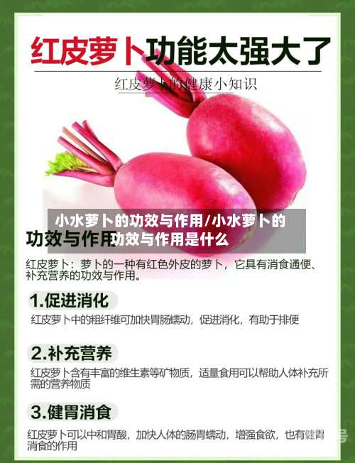 小水萝卜的功效与作用/小水萝卜的功效与作用是什么
