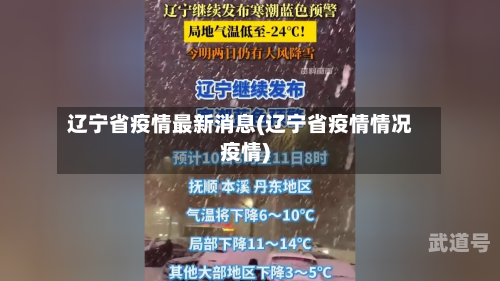辽宁省疫情最新消息(辽宁省疫情情况疫情)-第3张图片