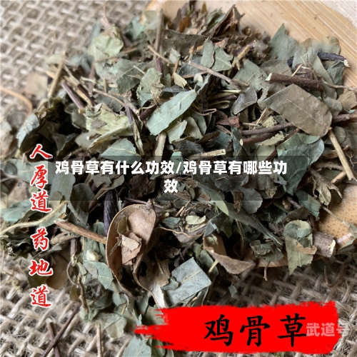 鸡骨草有什么功效/鸡骨草有哪些功效