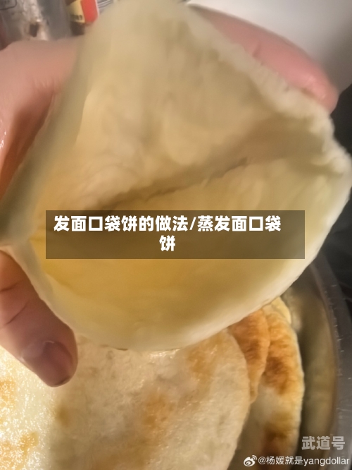 发面口袋饼的做法/蒸发面口袋饼