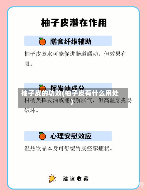 袖子皮的功效(袖子皮有什么用处)