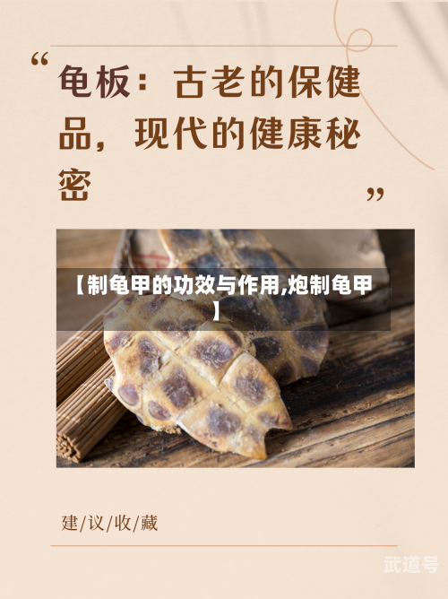 【制龟甲的功效与作用,炮制龟甲】