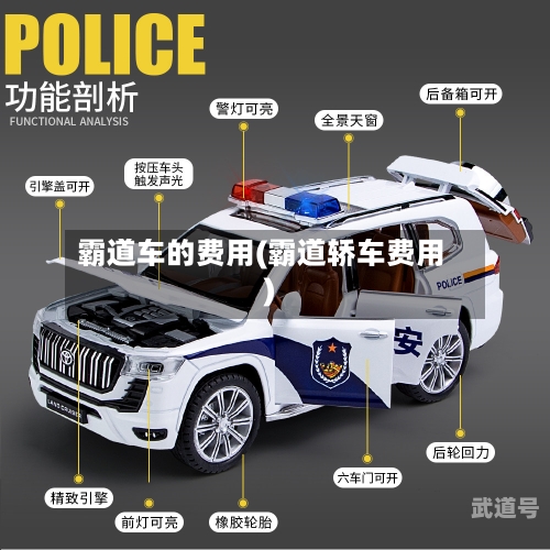 霸道车的费用(霸道轿车费用)-第3张图片