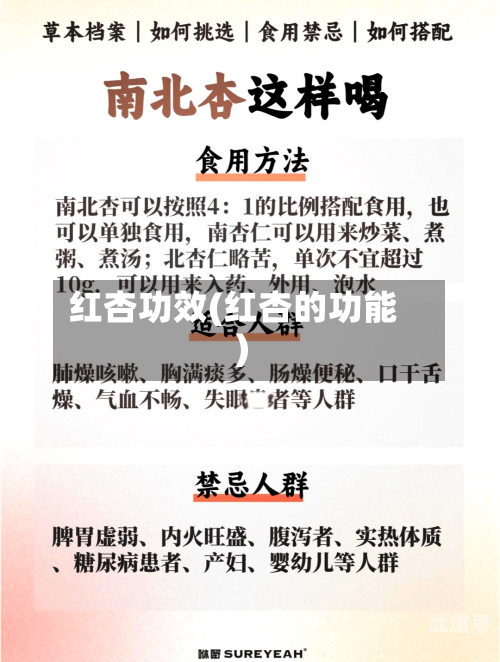 红杏功效(红杏的功能)