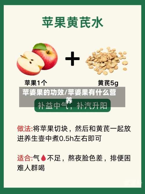 苹婆果的功效/苹婆果有什么营养