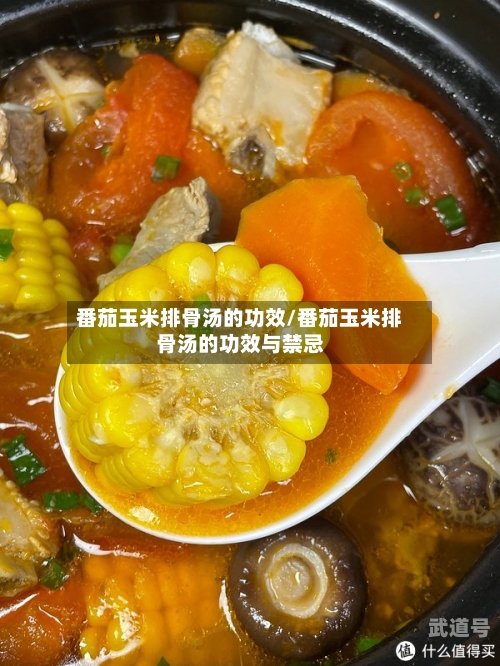 番茄玉米排骨汤的功效/番茄玉米排骨汤的功效与禁忌-第1张图片