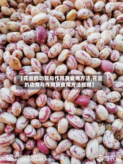 【花豆的功效与作用及食用方法,花豆的功效与作用及食用方法视频】