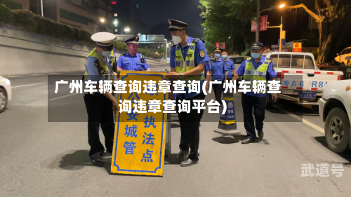 广州车辆查询违章查询(广州车辆查询违章查询平台)