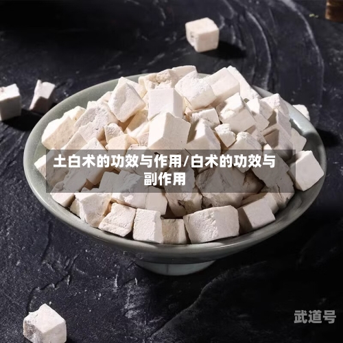 土白术的功效与作用/白术的功效与副作用-第3张图片