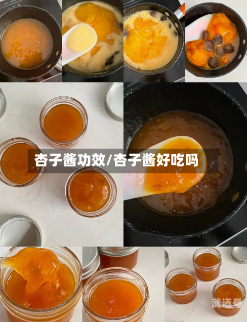 杏子酱功效/杏子酱好吃吗