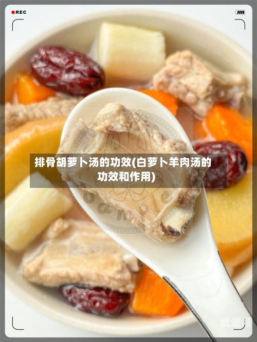 排骨胡萝卜汤的功效(白萝卜羊肉汤的功效和作用)-第3张图片