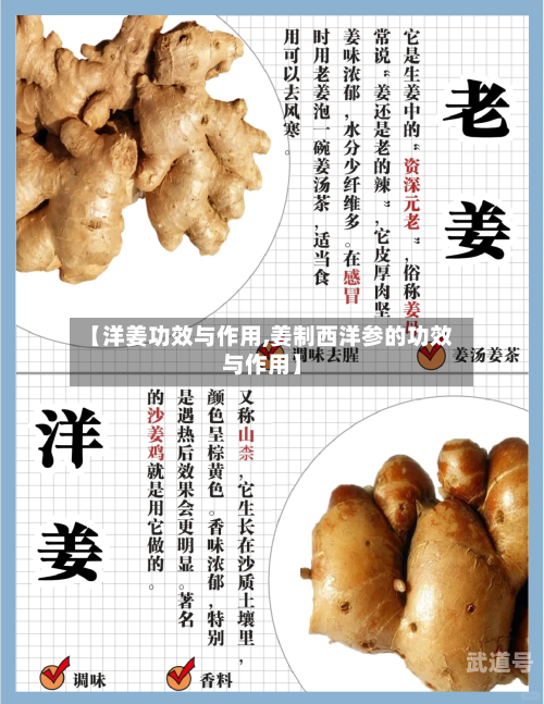 【洋姜功效与作用,姜制西洋参的功效与作用】