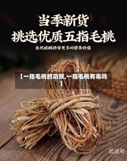 【一指毛桃的功效,一指毛桃有毒吗】