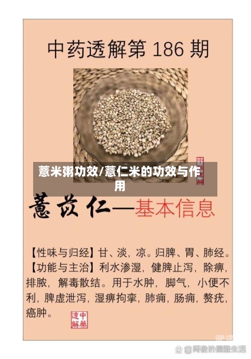 薏米粥功效/薏仁米的功效与作用-第2张图片