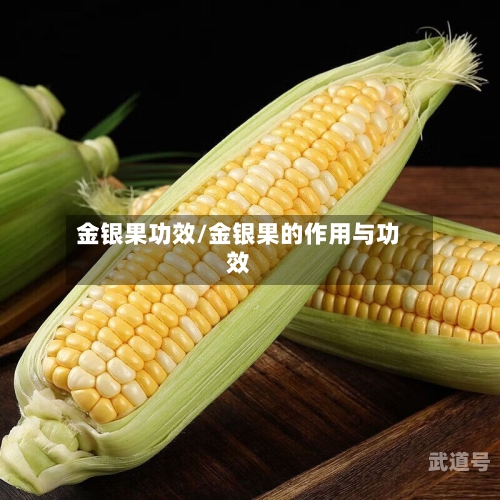 金银果功效/金银果的作用与功效