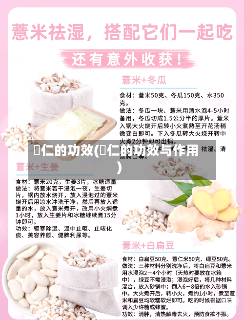 栢仁的功效(笖仁的功效与作用)-第3张图片