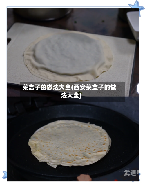 菜盒子的做法大全(西安菜盒子的做法大全)