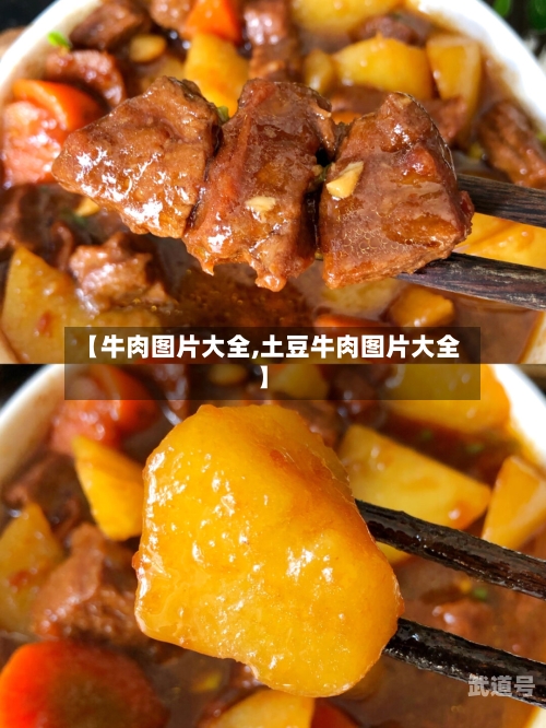 【牛肉图片大全,土豆牛肉图片大全】