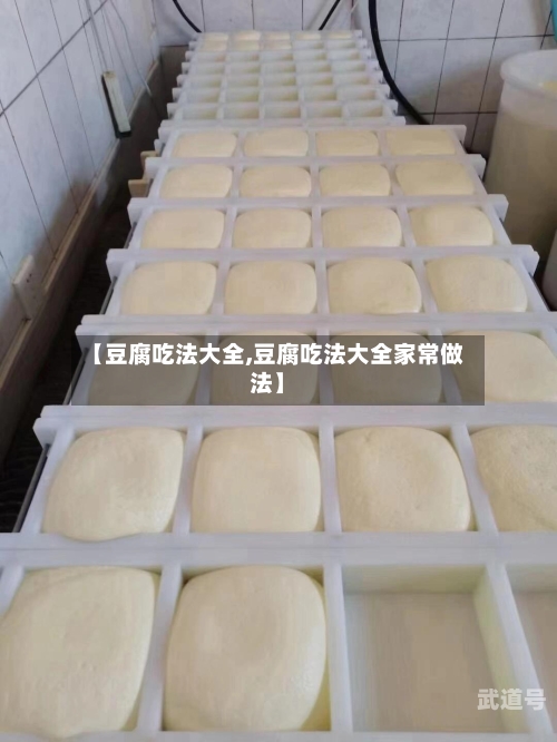 【豆腐吃法大全,豆腐吃法大全家常做法】
