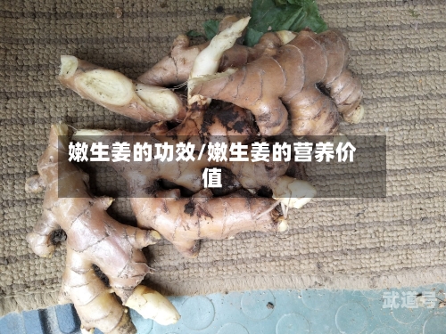 嫩生姜的功效/嫩生姜的营养价值