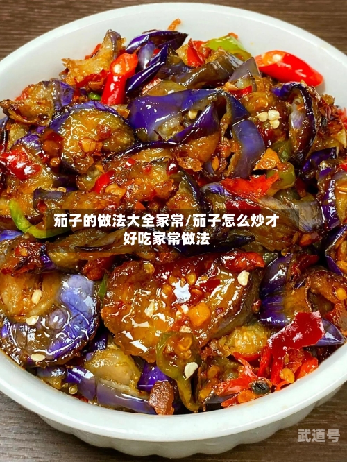 茄子的做法大全家常/茄子怎么炒才好吃家常做法