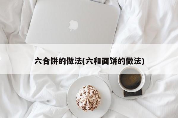 六合饼的做法(六和面饼的做法)