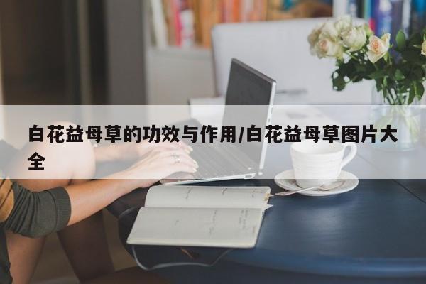 白花益母草的功效与作用/白花益母草图片大全