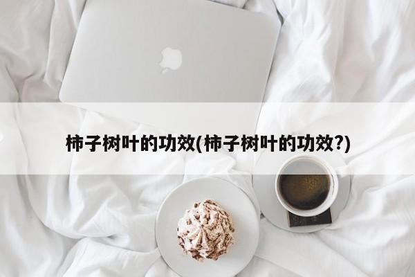柿子树叶的功效(柿子树叶的功效?)