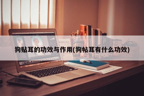 狗贴耳的功效与作用(狗帖耳有什么功效)