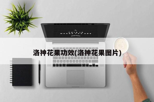 洛神花果功效(洛神花果图片)