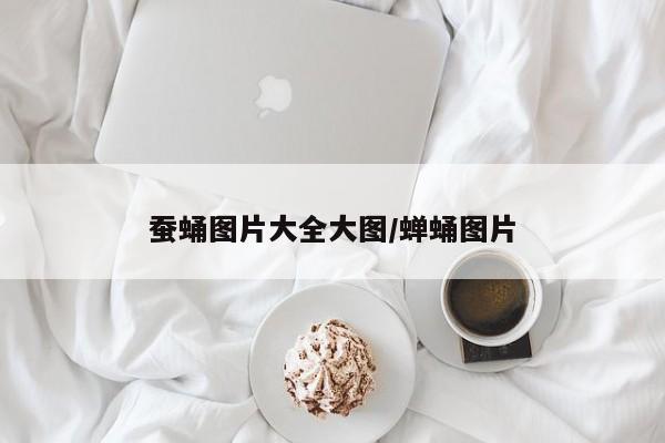 蚕蛹图片大全大图/蝉蛹图片