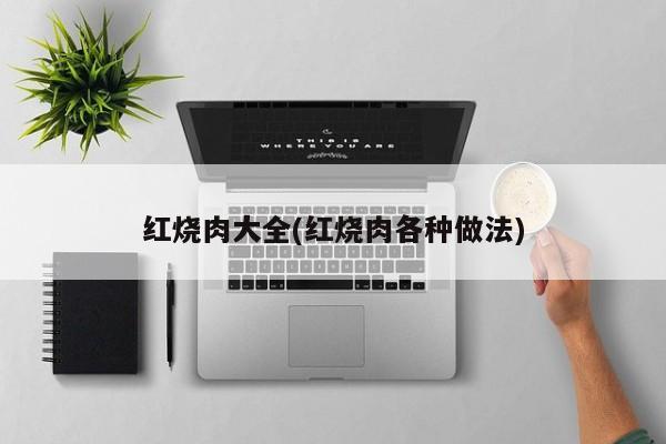 红烧肉大全(红烧肉各种做法)