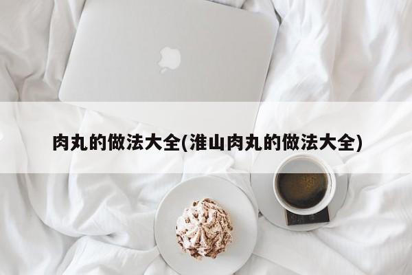 肉丸的做法大全(淮山肉丸的做法大全)