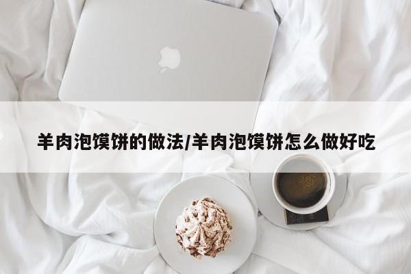 羊肉泡馍饼的做法/羊肉泡馍饼怎么做好吃